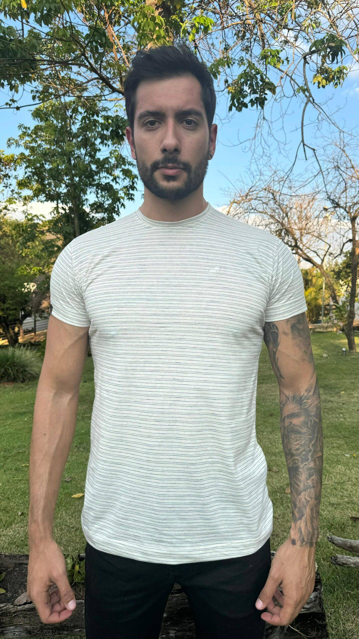 BASICALINHO 34