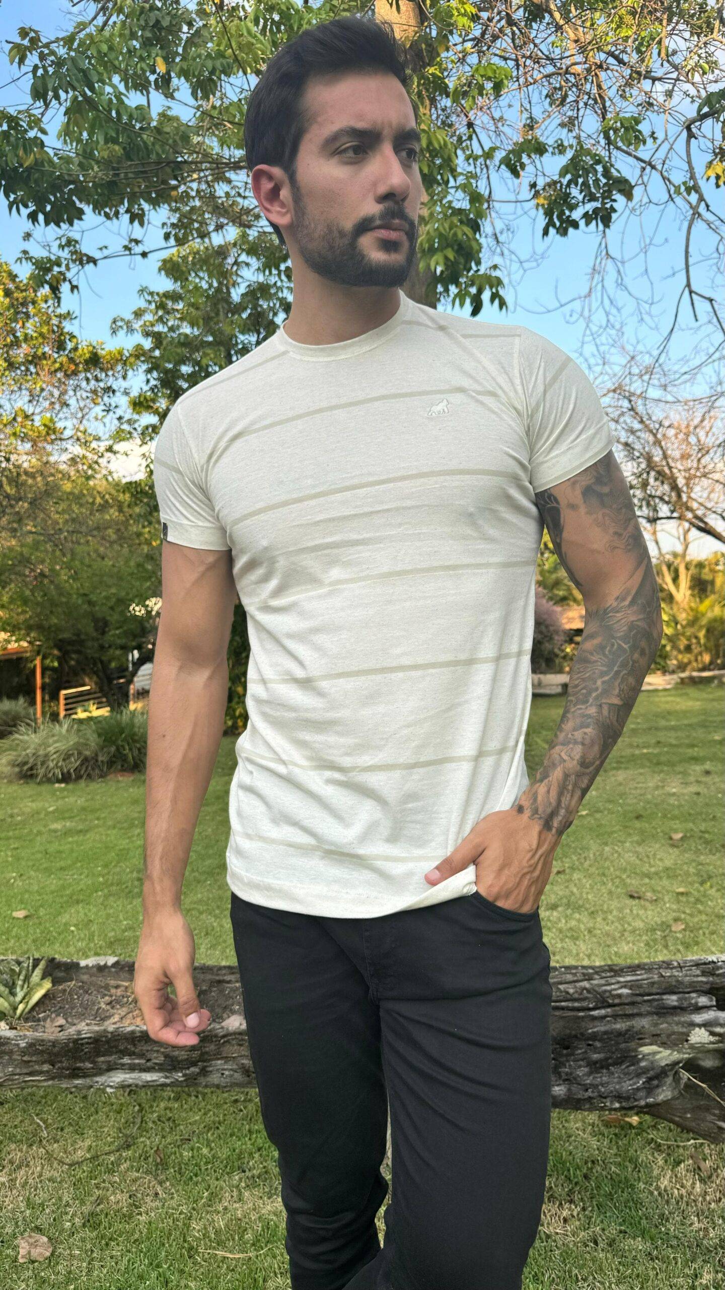 BASICALINHO 38