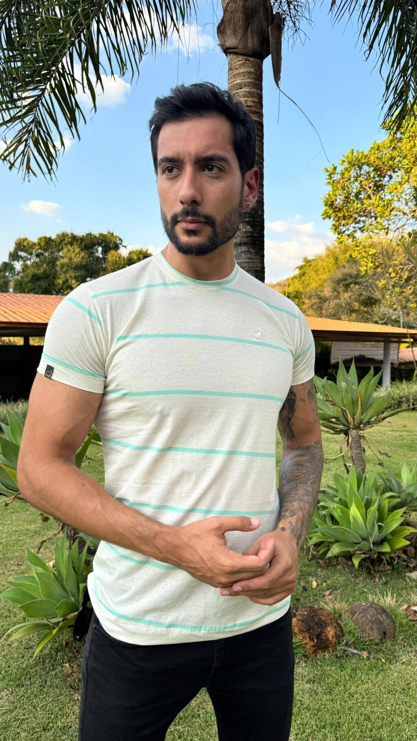 BASICALINHO 33